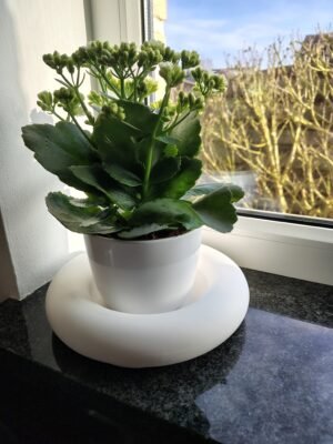 New Page Concrete white decorative bowl
