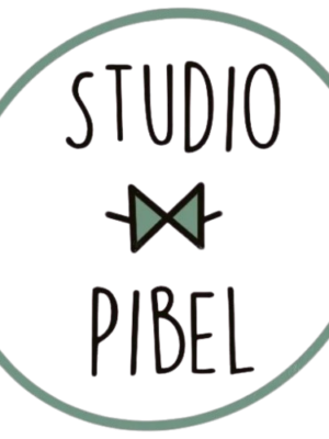 Home Logo Studio PiBel